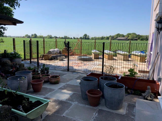 Wrought iron fencing creating an enclosure for dogs