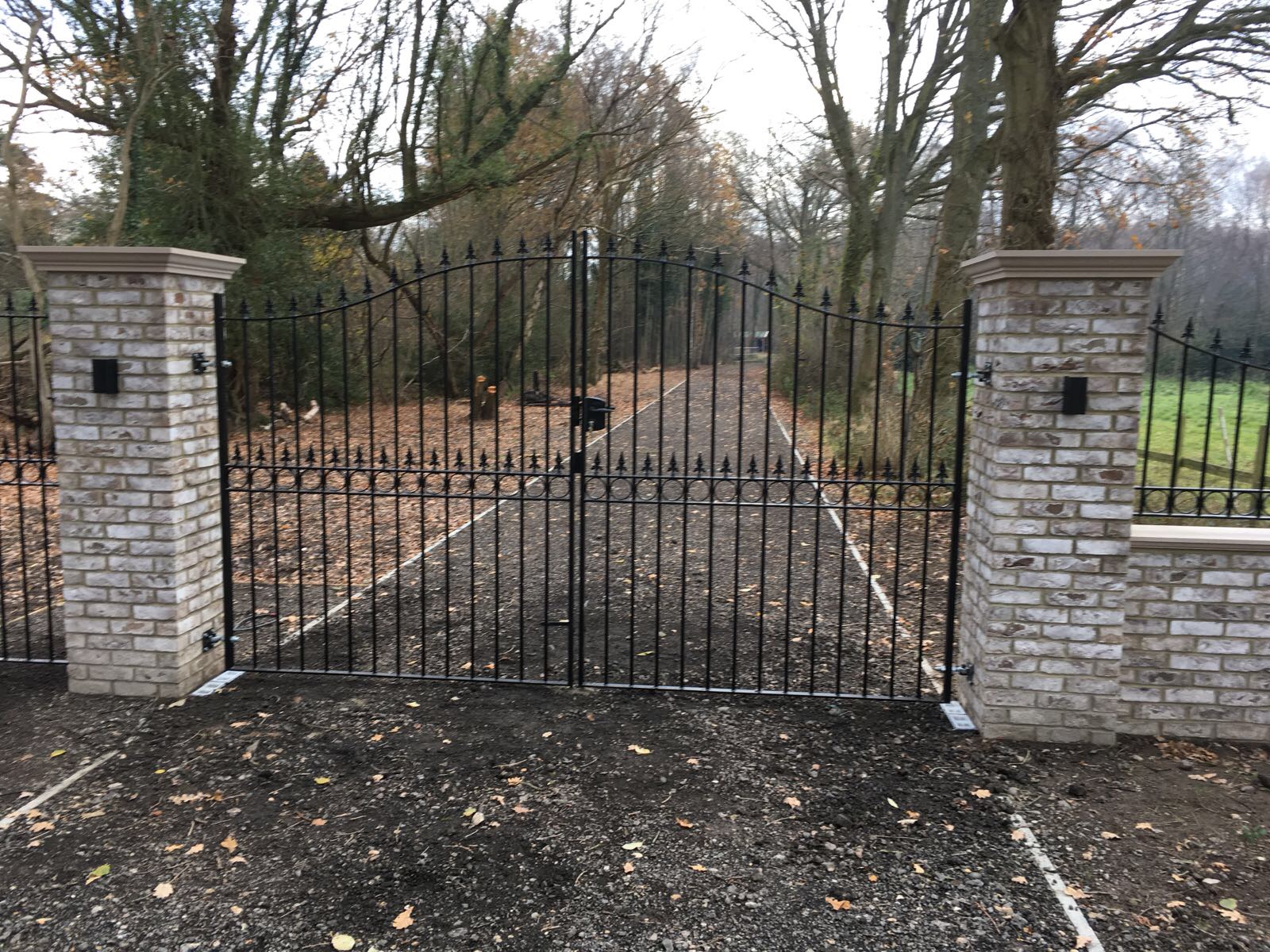 Royale Talisman arched wrought iron estate gates
