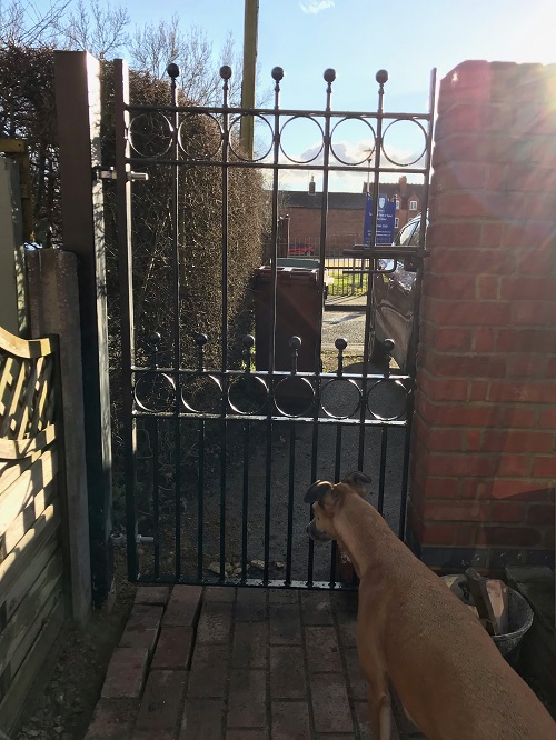Bespoke heavy duty metal gate for rear access to a garden