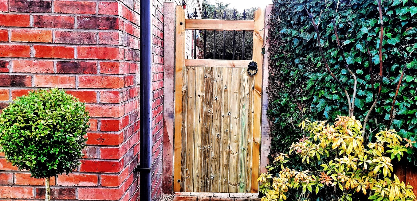 Pressure treated wooden side gate design